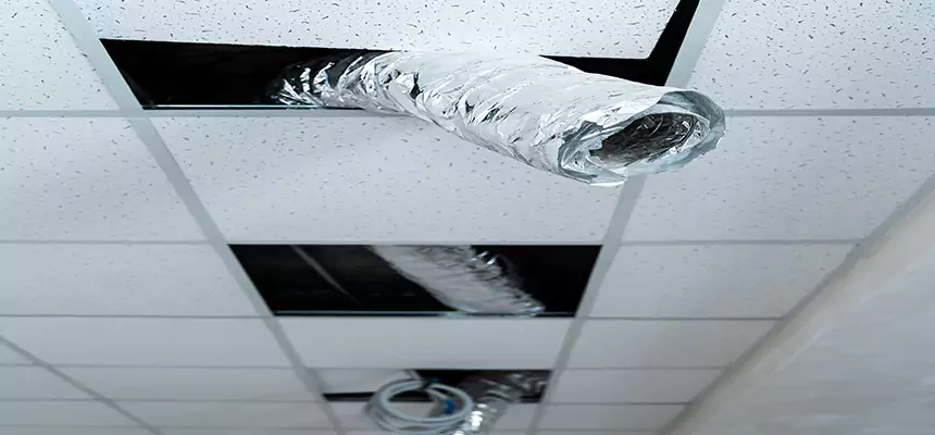 Affordable HVAC Sanitizing After Pest Removal in Jeffersonville