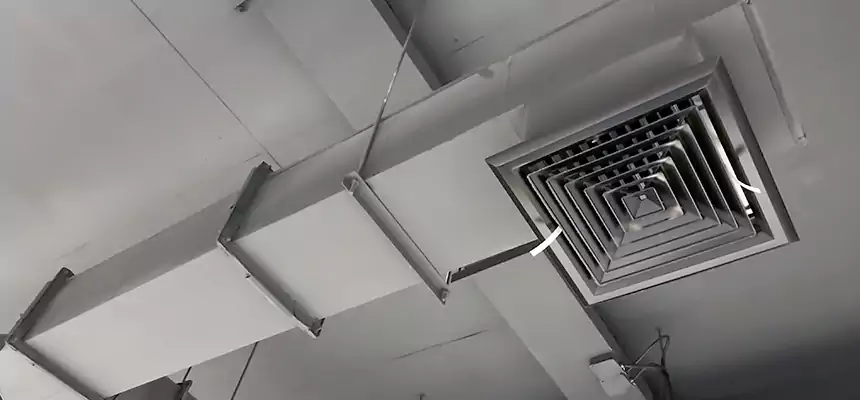 Our Rodent Droppings In Vents Services in Jeffersonville, IN