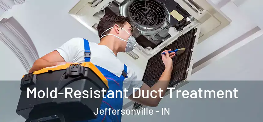 Mold-Resistant Duct Treatment Jeffersonville - IN