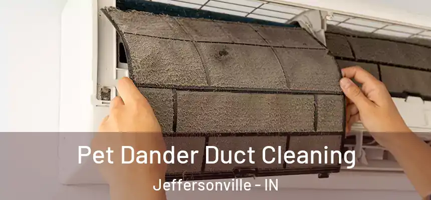 Pet Dander Duct Cleaning Jeffersonville - IN