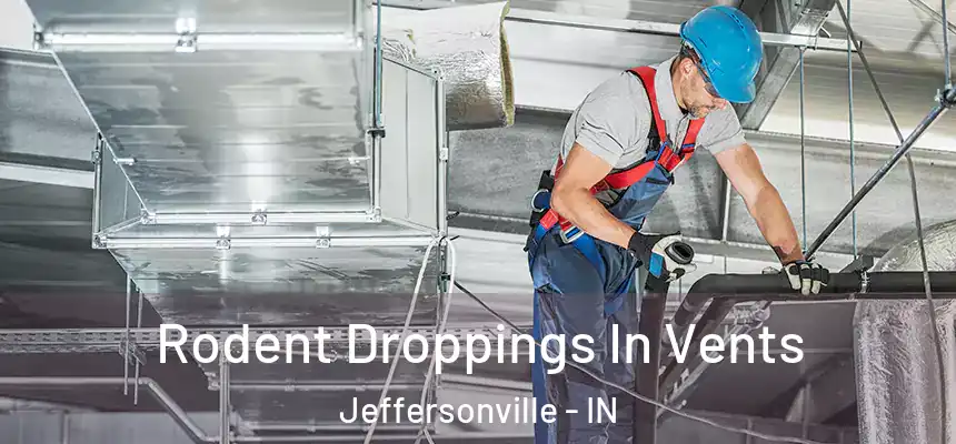  Rodent Droppings In Vents Jeffersonville - IN