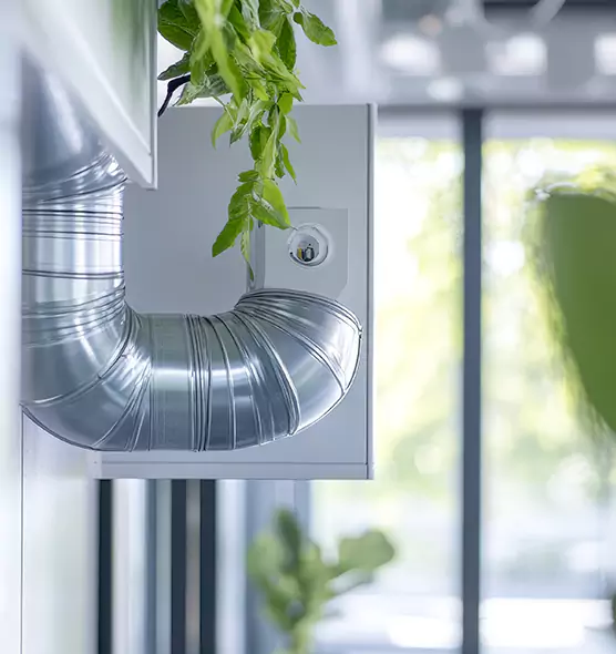 Professional Eco-Friendly Duct Cleaning Services in Jeffersonville, IN