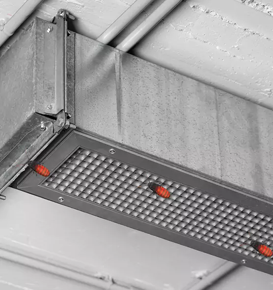 Affordable Insect Removal from Air Ducts in Jeffersonville, IN