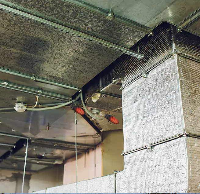 Why Homeowners & Businesses Trust Us in Jeffersonville, IN?