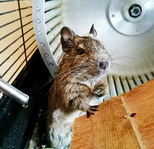 Why Homeowners & Businesses Trust Us Jeffersonville, IN