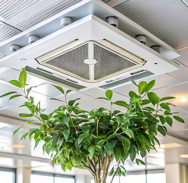 Why Homeowners & Businesses Trust Us in Jeffersonville, IN?