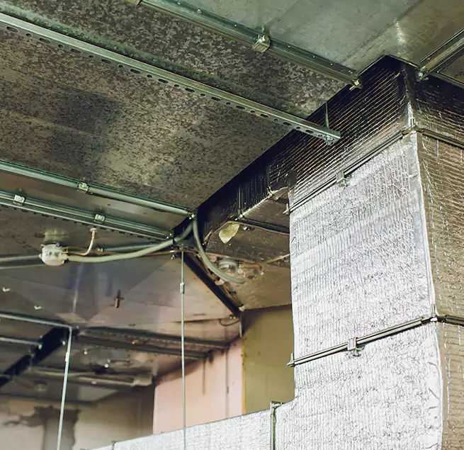 Why Homeowners & Businesses Trust Us in Jeffersonville, IN?